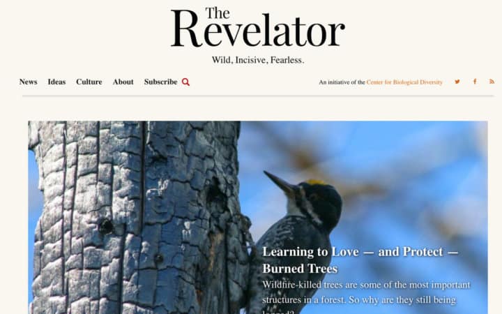 12 Easy Environmental Writing Jobs That Pay Up to $3,900 Per Post ...